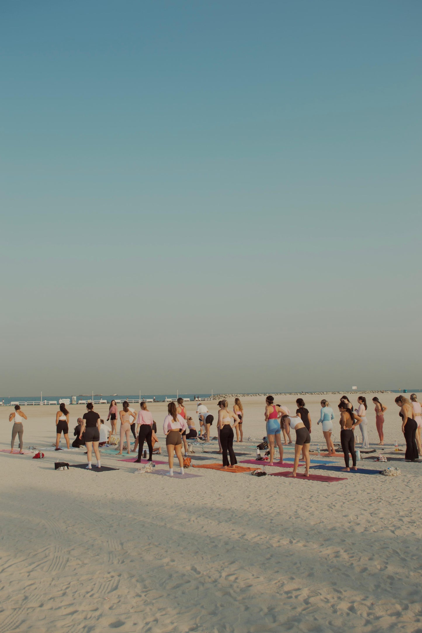 WELLNESS MORNING 30/11