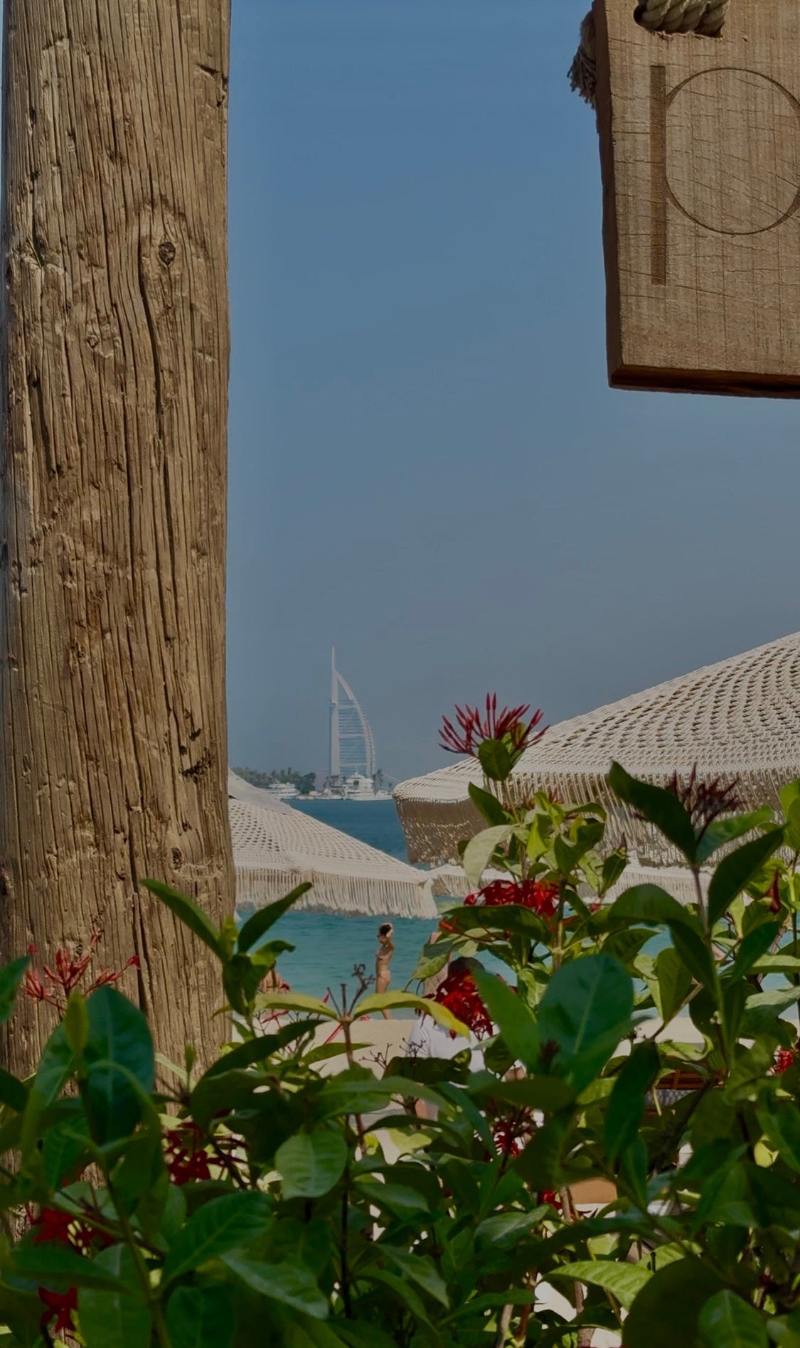 WELLNESS MORNING 30/11